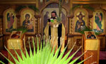 Palm Sunday