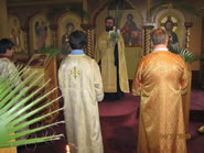 Palm Sunday 2009