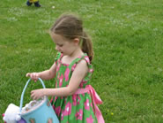 Egg Hunt